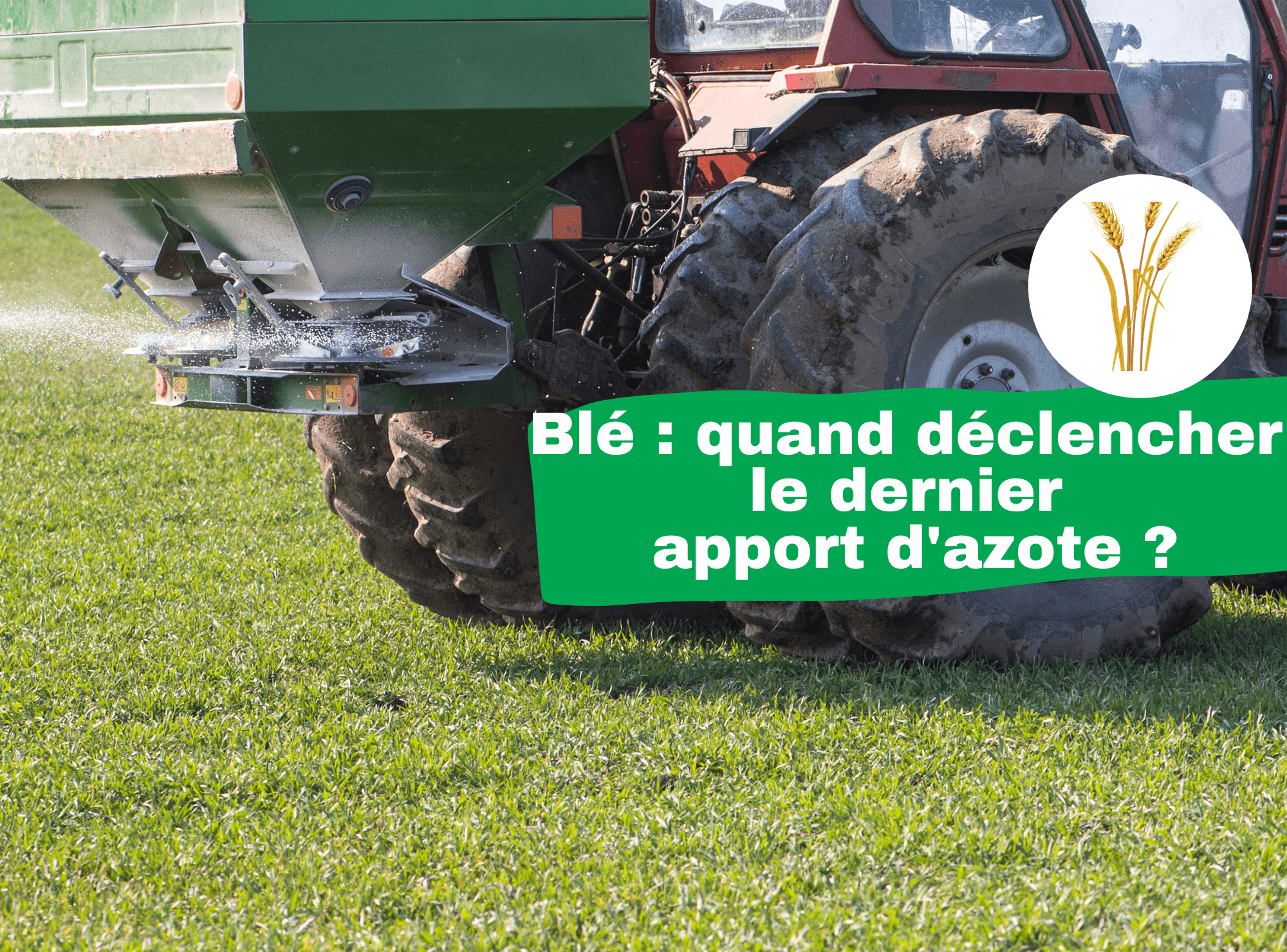 déclencher le dernier apport d'azote sur du blé 