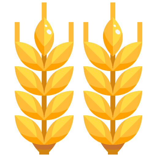 Orge