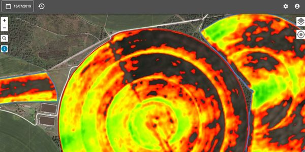 zones en stress hydrique sur une parcelle agricole de maïs