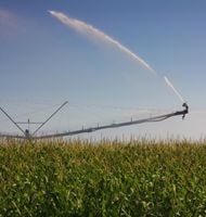 Irrigation et stress hydrique sur une parcelle agricole de maïs
