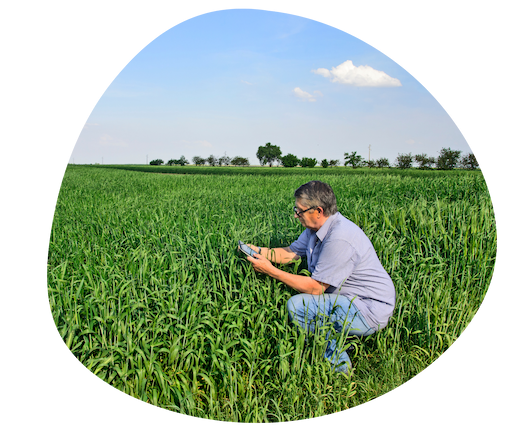 Saisie-des-observations-agriculteur-smartphone