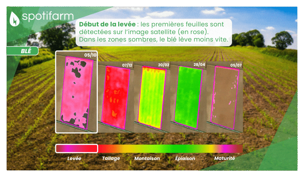 Suivi cultural NDVI avec spotifarm