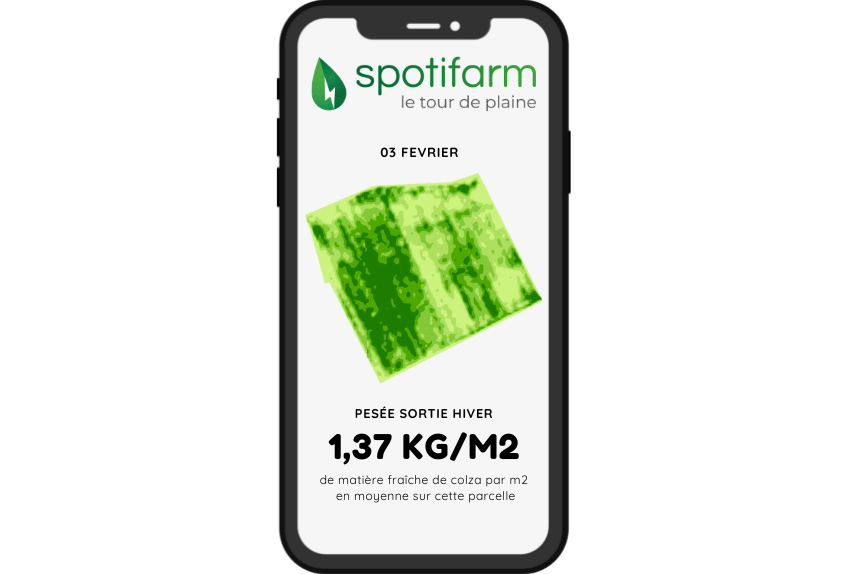 Pesée de colza en entré et sortie d'hiver avec l'application Spotifarm