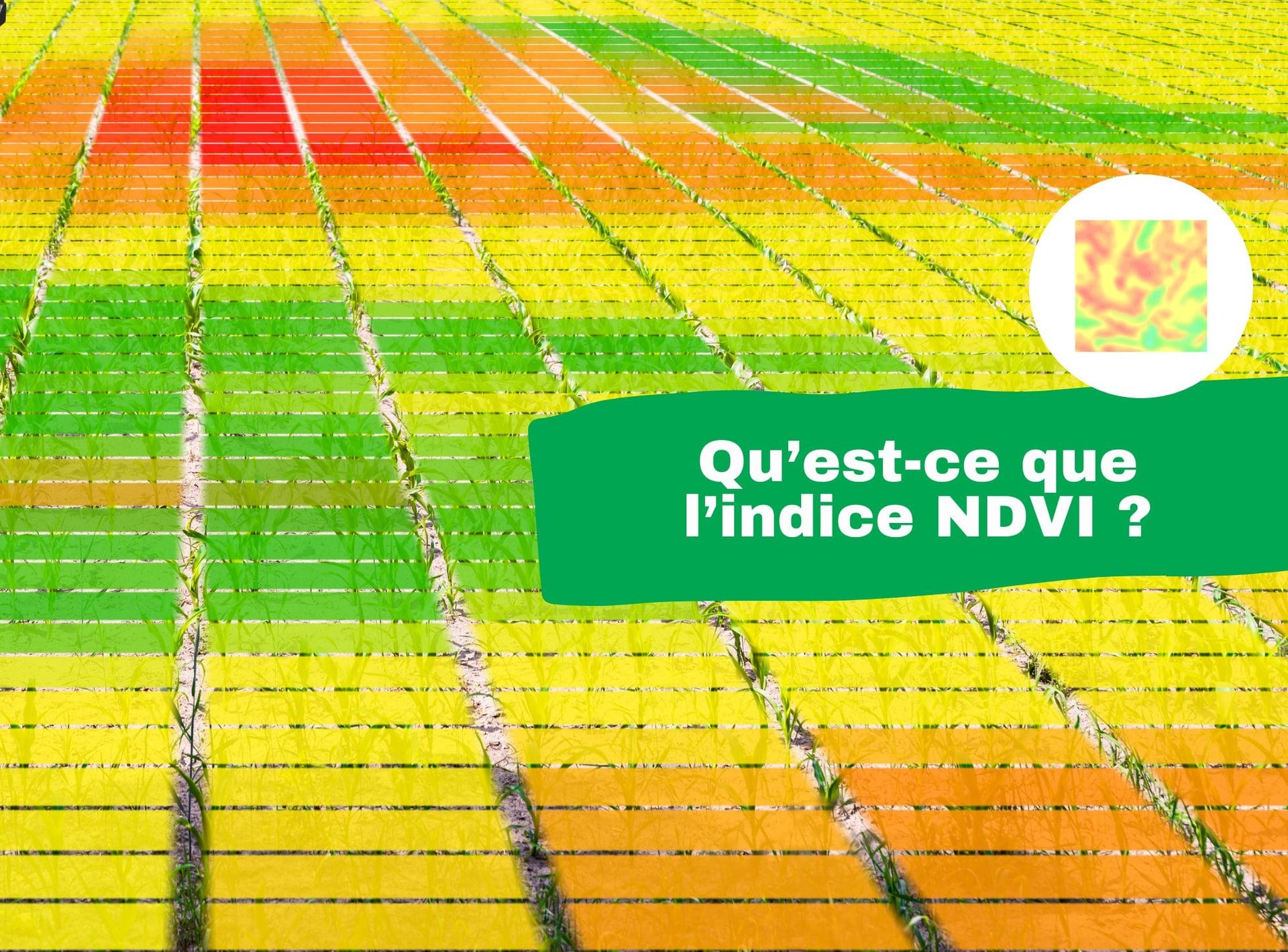 Agriculture de precision : qu’est-ce que l’indice NDVI 