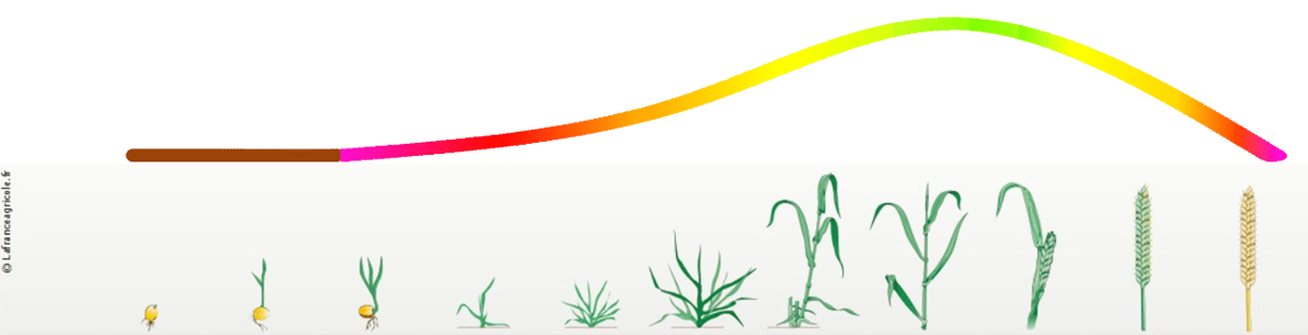 interpretation-indice-vegetation-spotifarm-teledetection-echelle-gradient-NDVI-biomasse