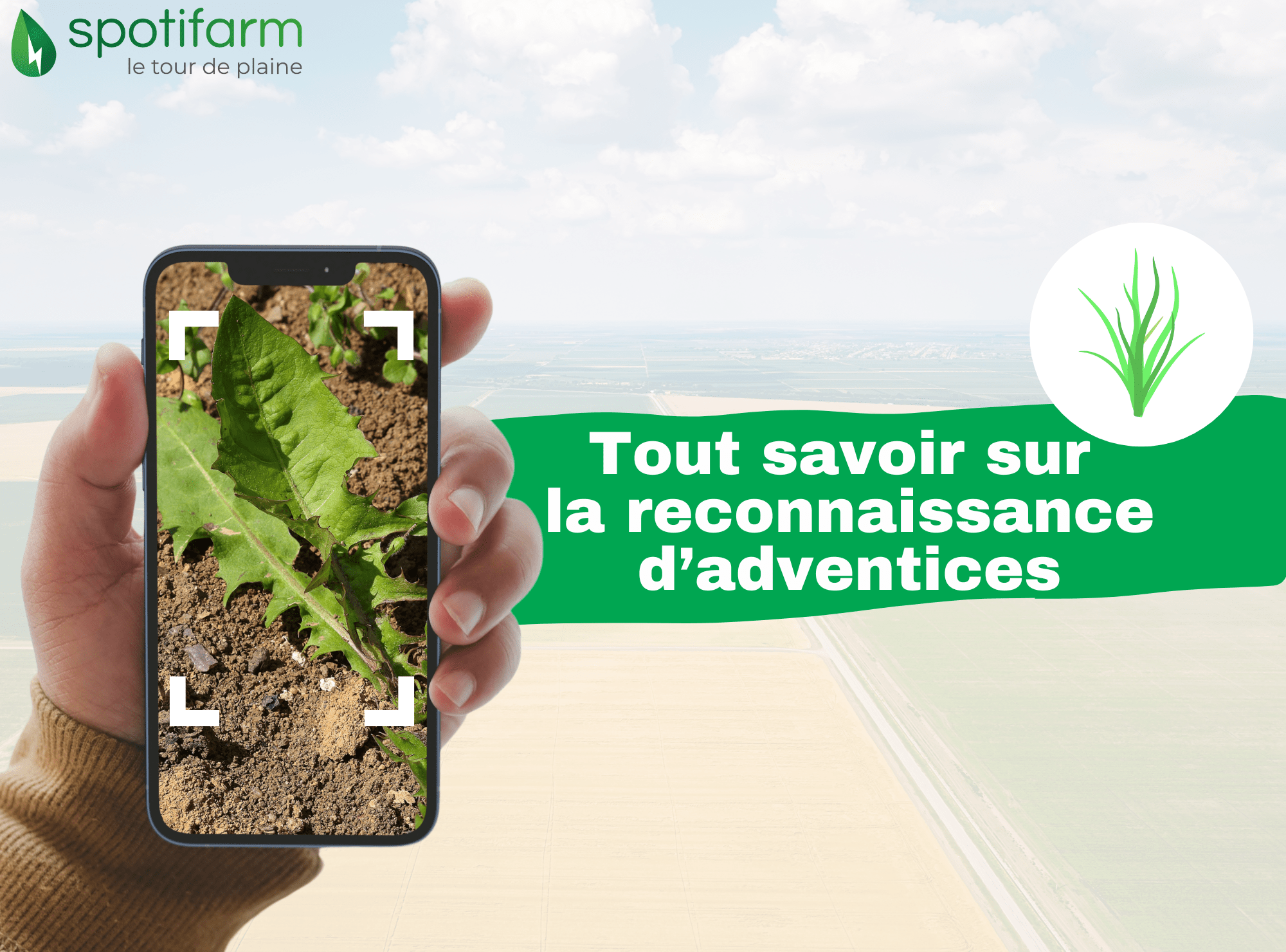 Tout savoir sur la reconnaissance d’adventices en grandes cultures 