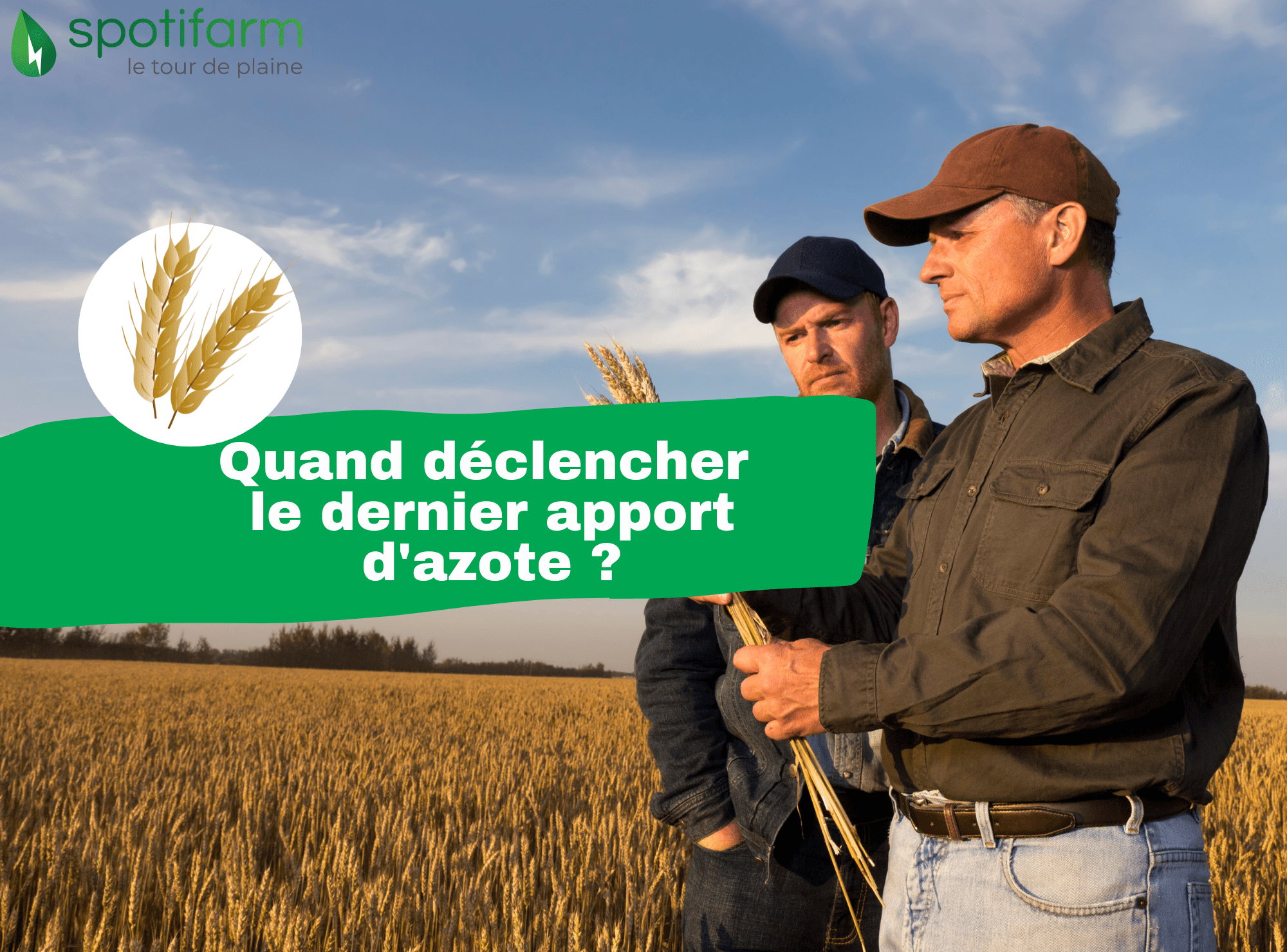 Quand déclencher le dernier apport d'azote