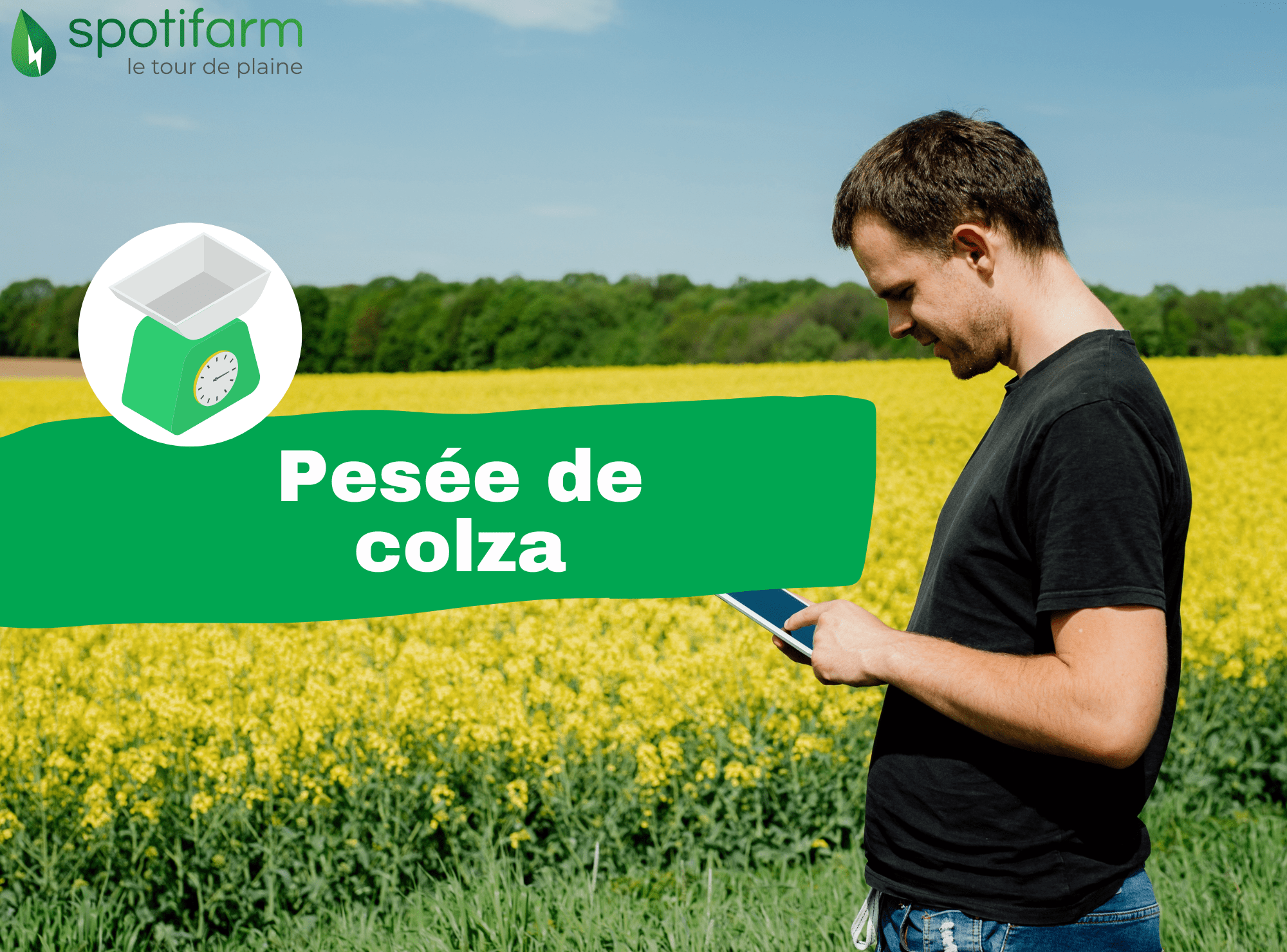 Evaluer la biomasse du colza pour optimiser les apports d'azote au  printemps 