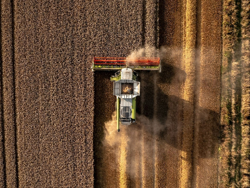 moissonneuse batteuse claas récolte du blé durant la moisson sur une parcelle agricole 