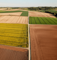 échange de parcelle pomme de terre