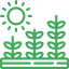biomasse-culture-vegetation-croissance-evolution-spotifarm